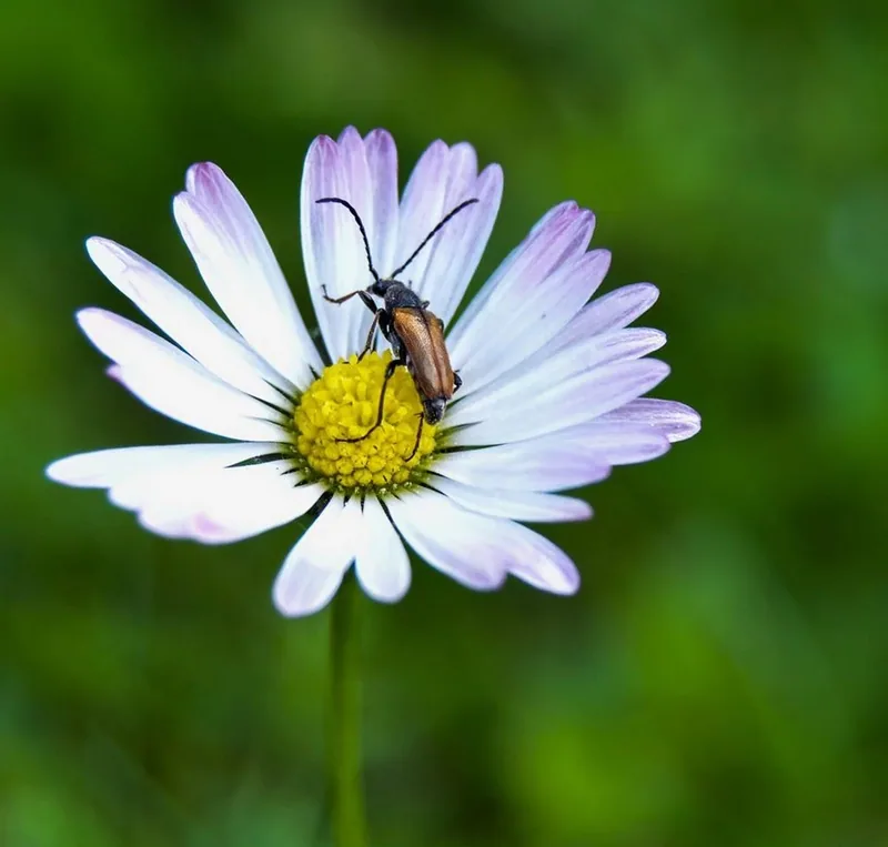 Fotografie z galerie Volný výběr
