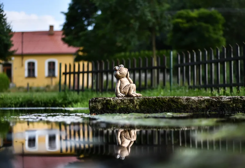 Fotografie z galerie Volný výběr