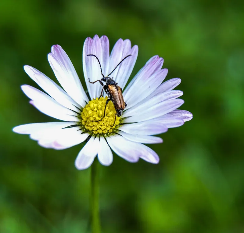 Fotografie z galerie Volný výběr